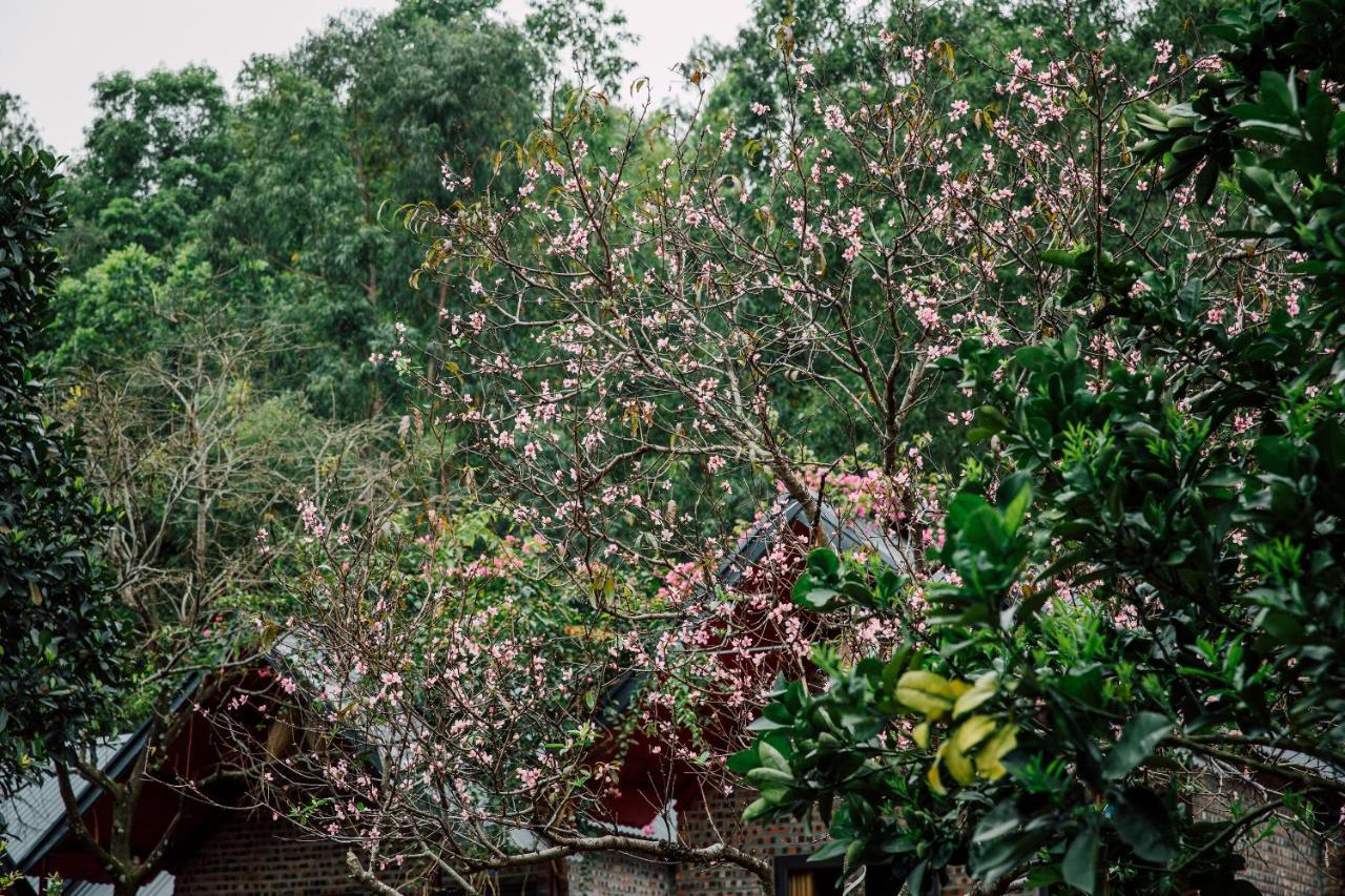 Cat Ba Spring Garden Homestay Hien Hao Eksteriør bilde